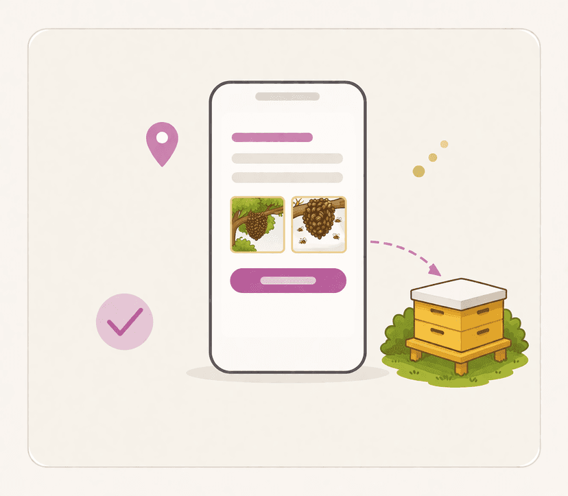 Illustration showing the report to beekeeper workflow